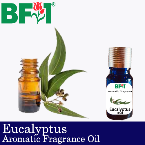 Aromatic Fragrance Oil (AFO) - Eucalyptus - 10ml