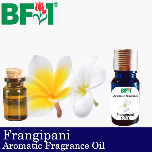 Aromatic Fragrance Oil (AFO) - Frangipani - 10ml