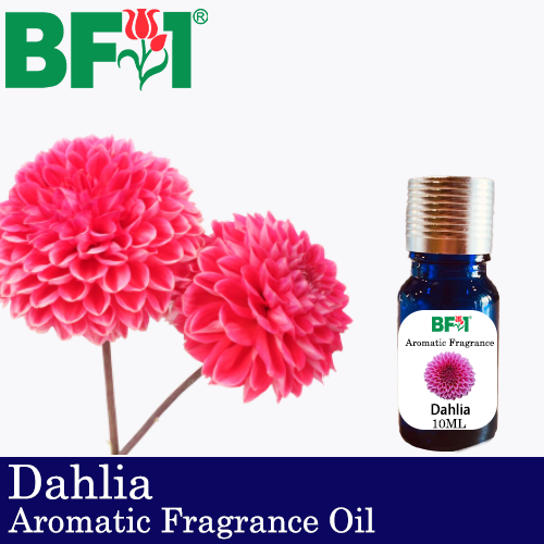 Aromatic Fragrance Oil (AFO) - Dahlia - 10ml