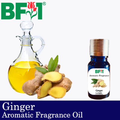 Aromatic Fragrance Oil (AFO) - Ginger - 10ml