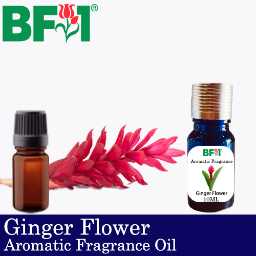 Aromatic Fragrance Oil (AFO) - Ginger Flower - 10ml