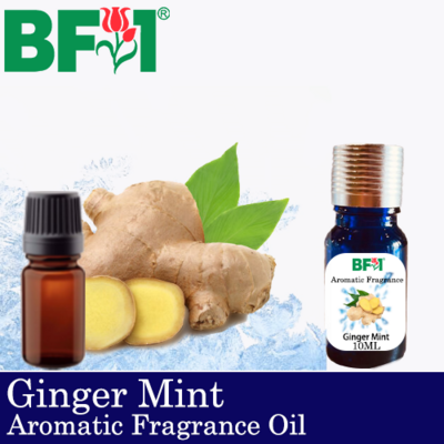 Aromatic Fragrance Oil (AFO) - Ginger Mint - 10ml