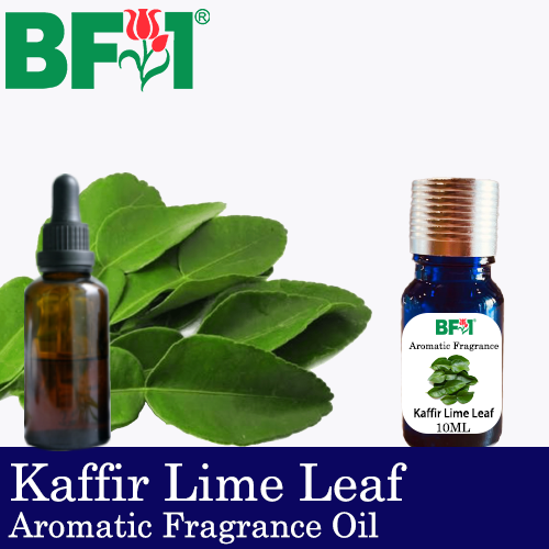 Aromatic Fragrance Oil (AFO) - Kaffir Lime Leaf - 10ml