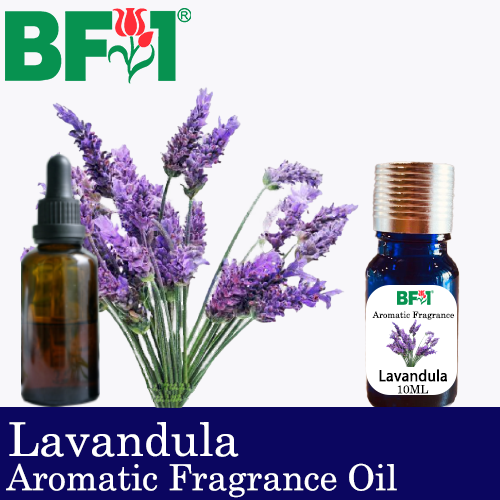 Aromatic Fragrance Oil (AFO) - Lavandula - 10ml