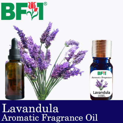Aromatic Fragrance Oil (AFO) - Lavandula - 10ml