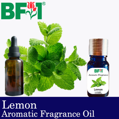 Aromatic Fragrance Oil (AFO) - Lemon Balm - 10ml