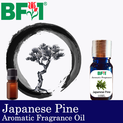 Aromatic Fragrance Oil (AFO) - Japanese Pine- 10ml