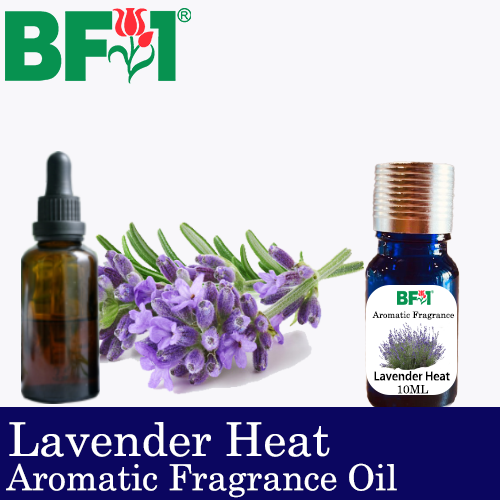 Aromatic Fragrance Oil (AFO) - Lavender Heat - 10ml