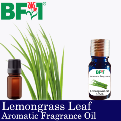 Aromatic Fragrance Oil (AFO) - Lemongrass Leaf - 10ml
