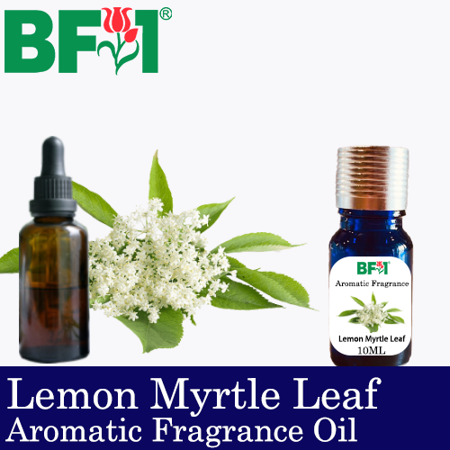 Aromatic Fragrance Oil (AFO) - Lemon Myrtle Leaf - 10ml