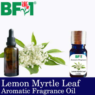 Aromatic Fragrance Oil (AFO) - Lemon Myrtle Leaf - 10ml