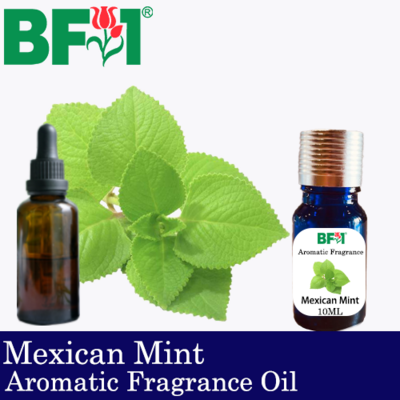 Aromatic Fragrance Oil (AFO) - Mexican Mint - 10ml