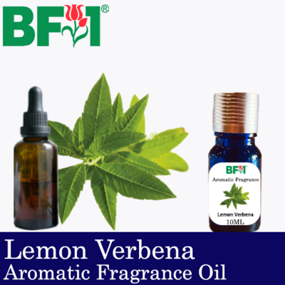 Aromatic Fragrance Oil (AFO) - Lemon Verbena - 10ml