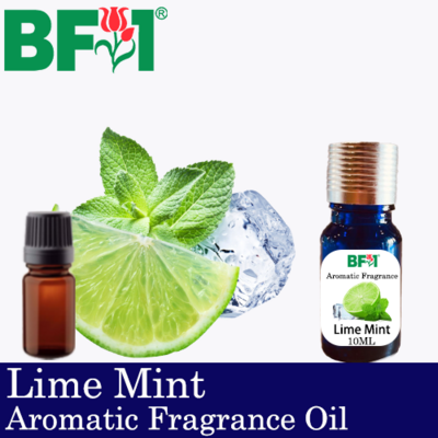 Aromatic Fragrance Oil (AFO) - Lime Mint - 10ml