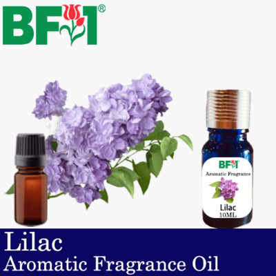 Aromatic Fragrance Oil (AFO) - Lilac - 10ml