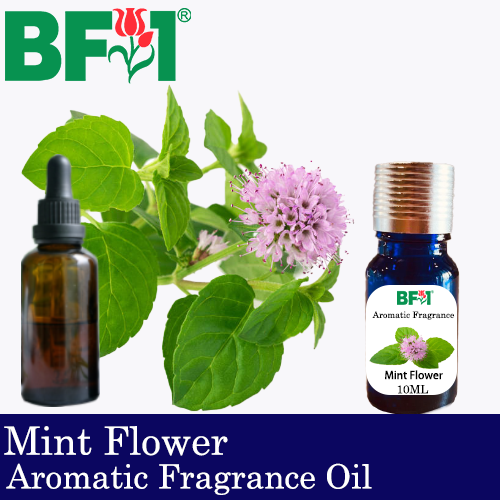 Aromatic Fragrance Oil (AFO) - Mint Flower - 10ml