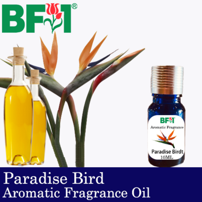 Aromatic Fragrance Oil (AFO) - Paradise Bird - 10ml