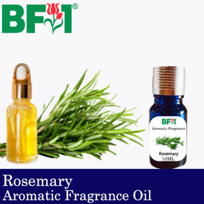 Aromatic Fragrance Oil (AFO) - Rosemary - 10ml