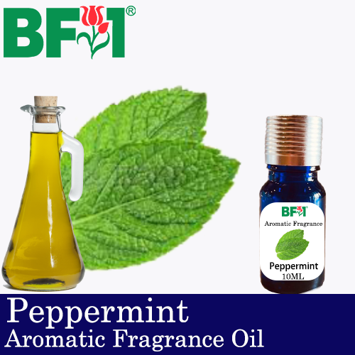 Aromatic Fragrance Oil (AFO) - Peppermint - 10ml