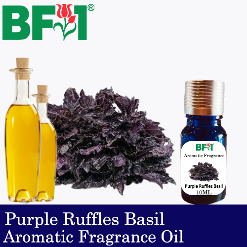 Aromatic Fragrance Oil (AFO) - Purple Ruffles Basil - 10ml