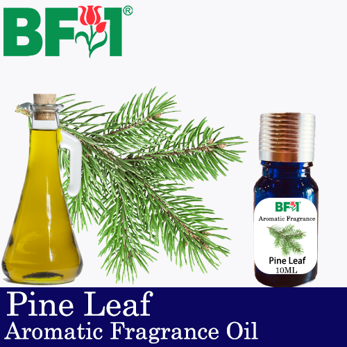 Aromatic Fragrance Oil (AFO) - Pine Leaf - 10ml