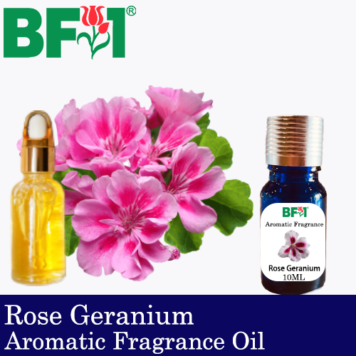 Aromatic Fragrance Oil (AFO) - Rose Geranium - 10ml