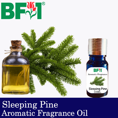 Aromatic Fragrance Oil (AFO) - Sleeping Pine - 10ml
