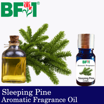 Aromatic Fragrance Oil (AFO) - Sleeping Pine - 10ml