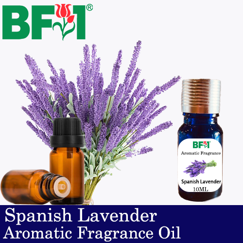 Aromatic Fragrance Oil (AFO) - Spanish Lavender - 10ml