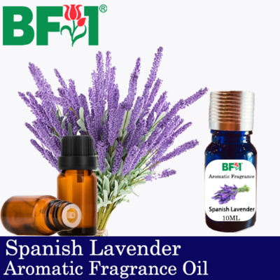 Aromatic Fragrance Oil (AFO) - Spanish Lavender - 10ml