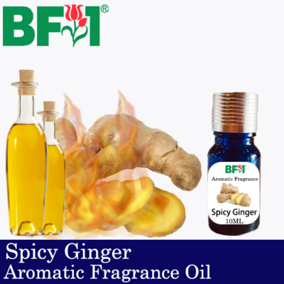 Aromatic Fragrance Oil (AFO) - Spicy Ginger - 10ml