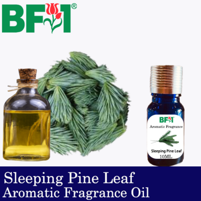 Aromatic Fragrance Oil (AFO) - Sleeping Pine Leaf - 10ml