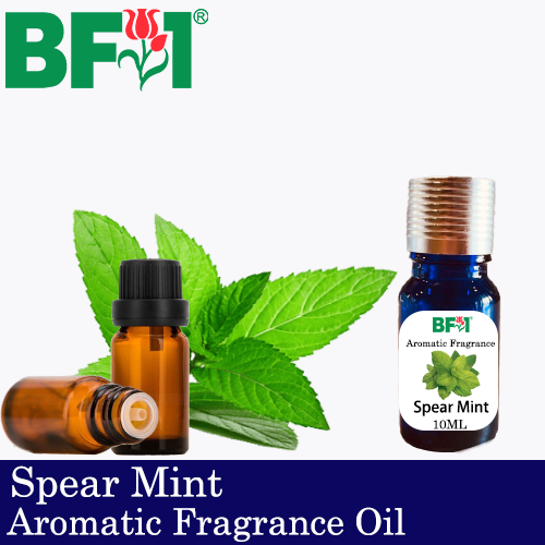 Aromatic Fragrance Oil (AFO) - Spear Mint - 10ml
