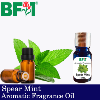 Aromatic Fragrance Oil (AFO) - Spear Mint - 10ml