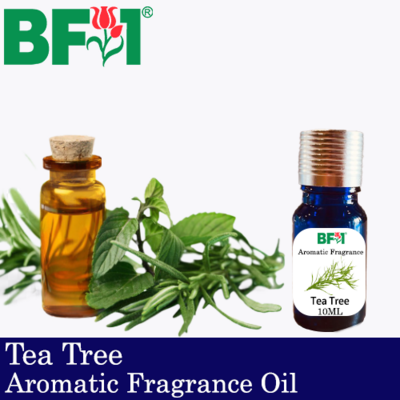 Aromatic Fragrance Oil (AFO) - Tea Tree - 10ml