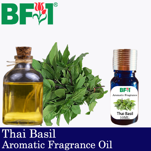 Aromatic Fragrance Oil (AFO) - Thai Basil - 10ml