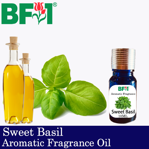 Aromatic Fragrance Oil (AFO) - Sweet Basil - 10ml