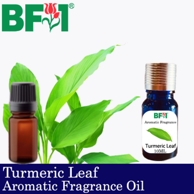 Aromatic Fragrance Oil (AFO) - Turmeric Leaf - 10ml