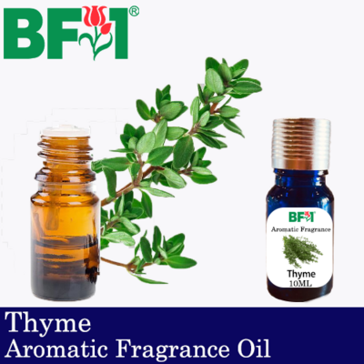 Aromatic Fragrance Oil (AFO) - Thyme - 10ml