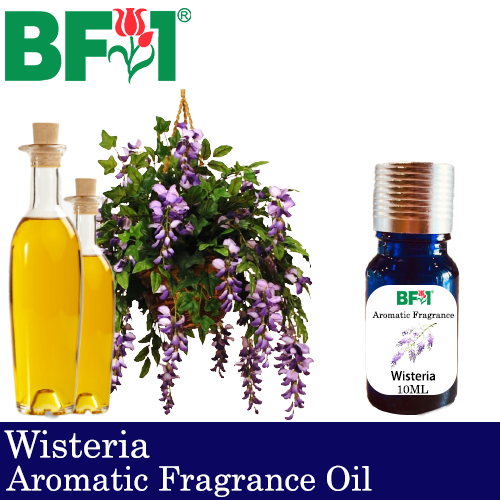 Aromatic Fragrance Oil (AFO) - Wisteria - 10ml