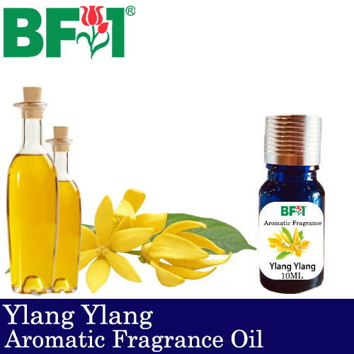 Aromatic Fragrance Oil (AFO) - Ylang Ylang - 10ml