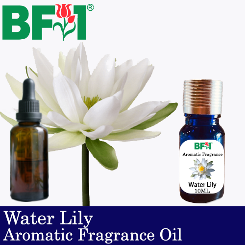 Aromatic Fragrance Oil (AFO) - Water Lily - 10ml