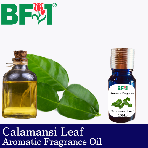 Aromatic Fragrance Oil (AFO) - Calamansi Leaf - 10ml