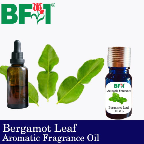 Aromatic Fragrance Oil (AFO) - Bergamot Leaf - 10ml