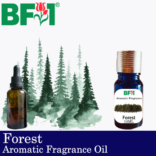 Aromatic Fragrance Oil (AFO) - Forest - 10ml