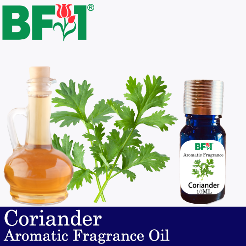 Aromatic Fragrance Oil (AFO) - Coriander - 10ml