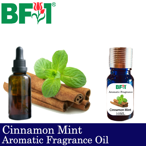 Aromatic Fragrance Oil (AFO) - Cinnamon Mint - 10ml