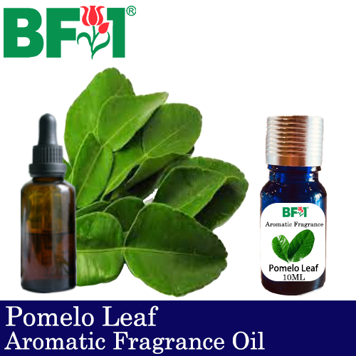 Aromatic Fragrance Oil (AFO) - Pomelo Leaf - 10ml