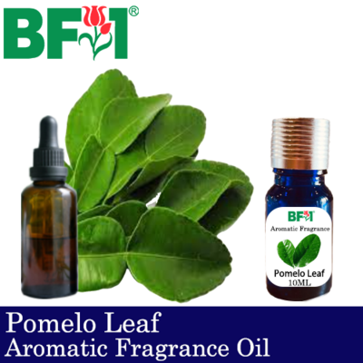 Aromatic Fragrance Oil (AFO) - Pomelo Leaf - 10ml