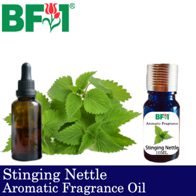 Aromatic Fragrance Oil (AFO) - Stinging Nettle - 10ml